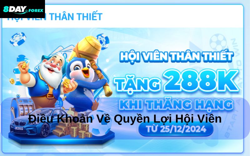 Các quy định bổ sung trong Điều Khoản Sử Dụng 8day