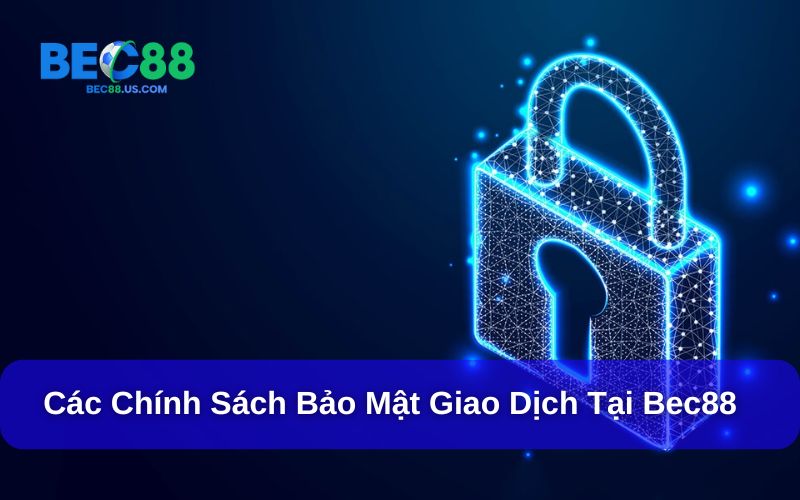 Bao lâu thì có cập nhật mới