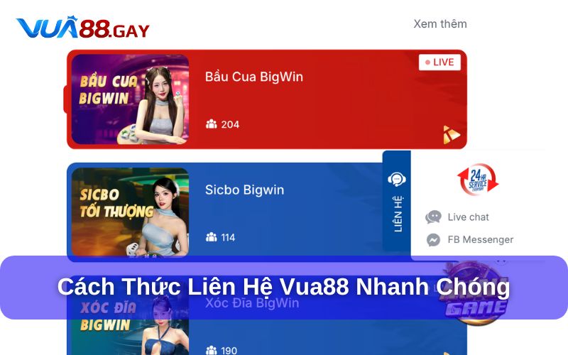 Mẹo giúp Liên Hệ Vua88 hiệu quả hơn